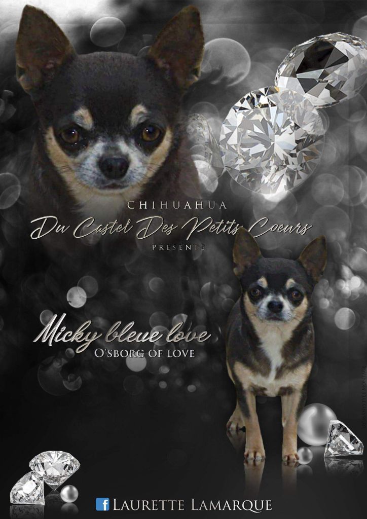 O'sborg Of Love Micky blue love