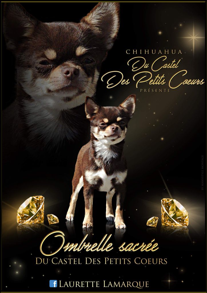 Ombrelle sacrée Du Castel Des Petits Coeurs