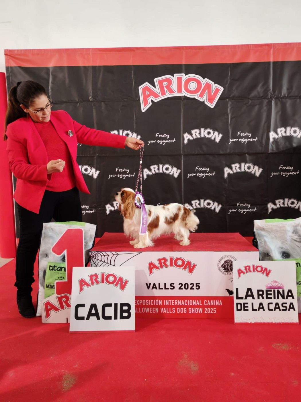 CHAMPIONNE INTERNATIONALE