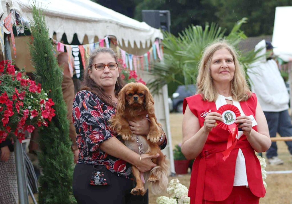 Du Castel Des Petits Coeurs - Vanille jeune championne de France