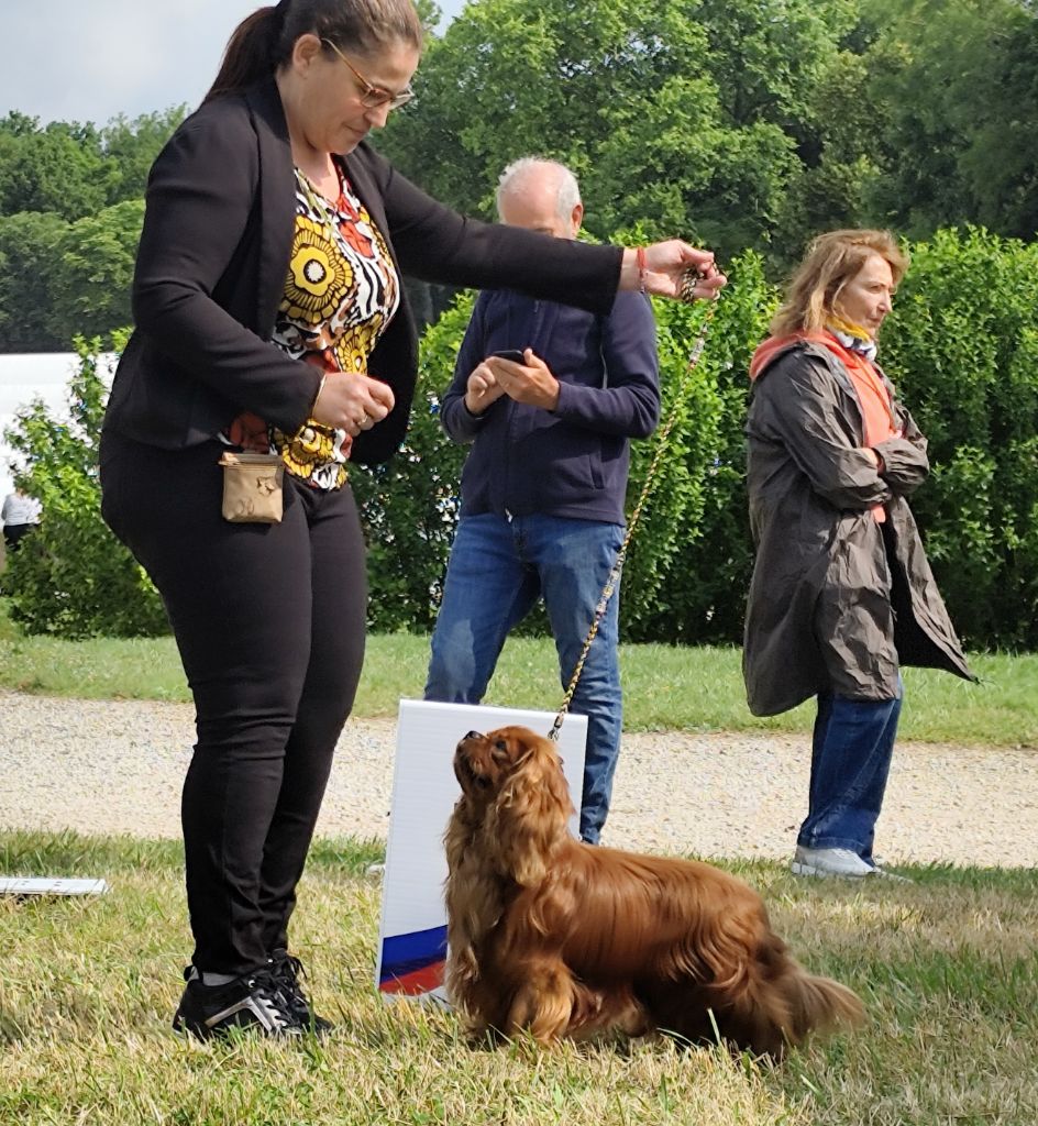 NOUVEAU CHAMPION DE FRANCE 